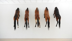 Artist Maurizio Cattelan exposition at Fondation Beyler Switserland horses with head in the wall