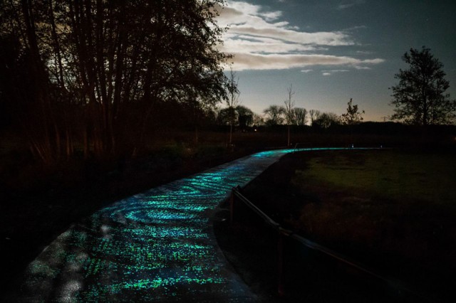 Image of the day: Bike riding on the Van Gogh-Roosegaarde glow-in-the-dark path